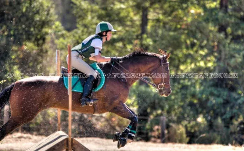 新宝登录app入口手机版颐驰 06从SEO的角度出发，可以将标题修改为： \