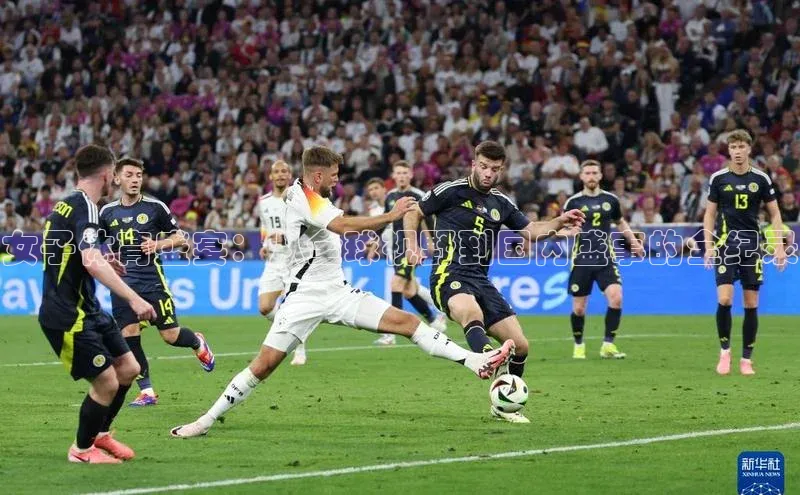 女子体育盛宴：从全球视野到国内盛事的全纪录