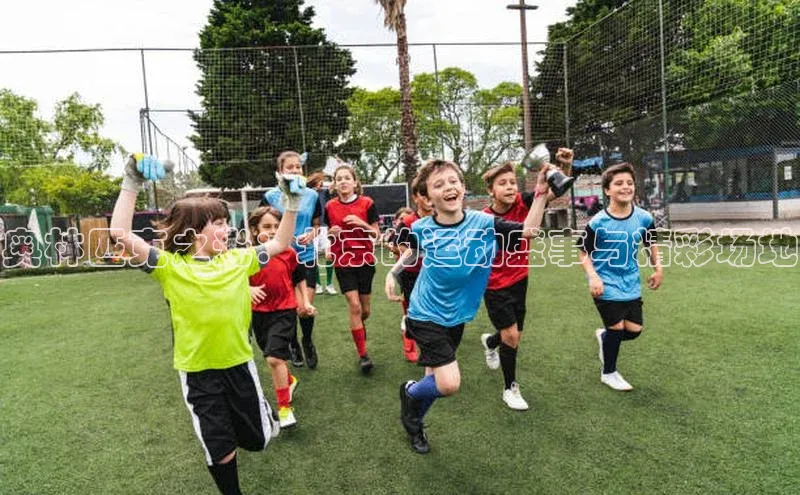 奥林匹克之光：北京的运动盛事与精彩场地