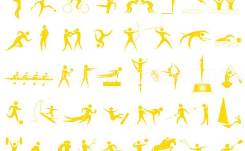 激情与竞技的交融：运动赛事现场体验