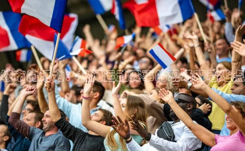 城市的活力：热门运动赛事的现场观看地点