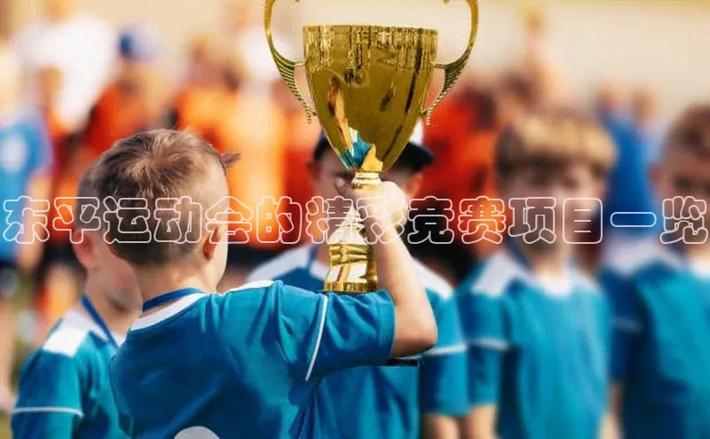 东平运动会的精彩竞赛项目一览