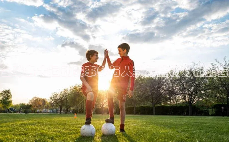 全球各大运动赛事参与人数与结构分析报告