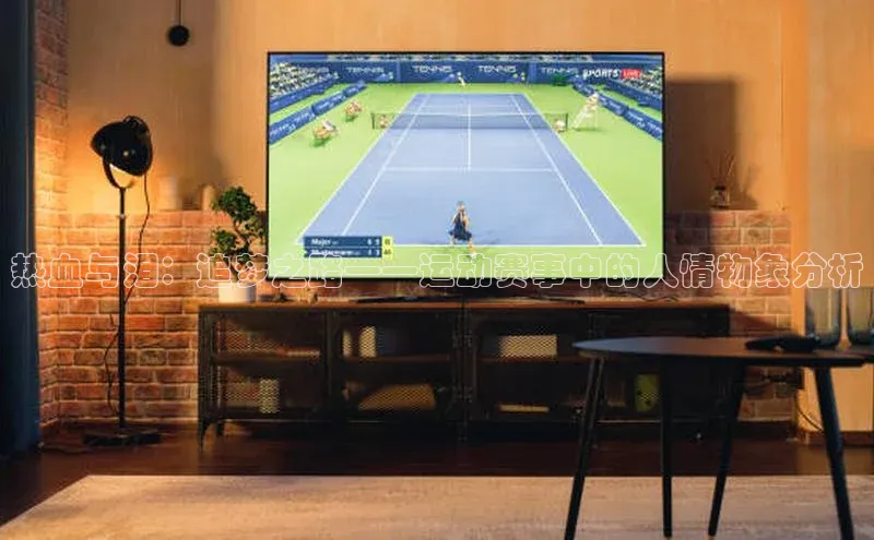 热血与泪：追梦之路——运动赛事中的人情物象分析