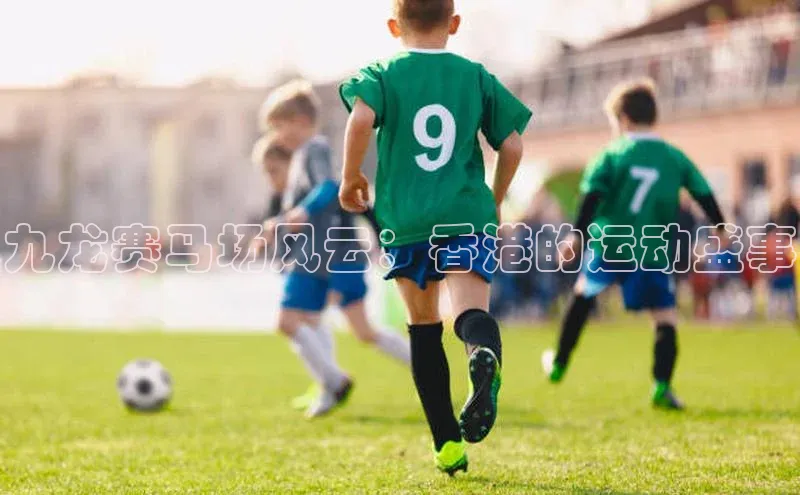 九龙赛马场风云：香港的运动盛事