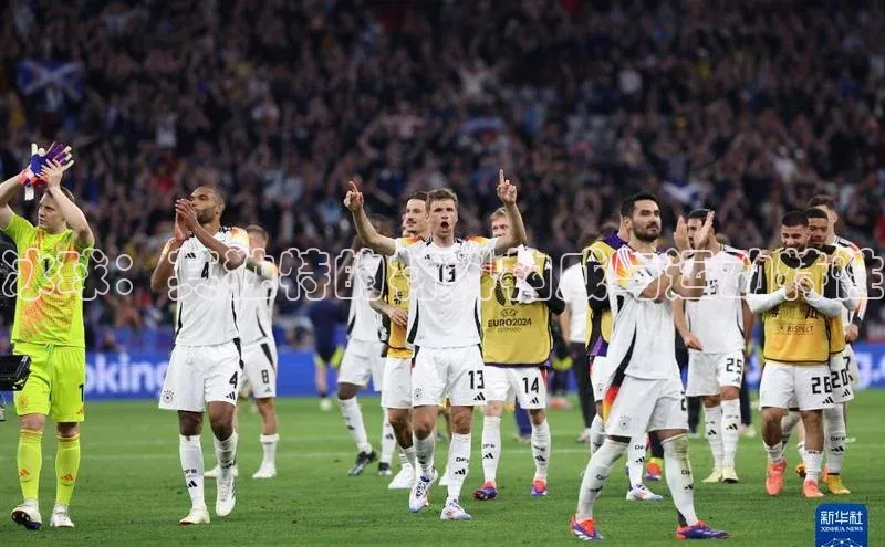 冰球：其独特的材料构成与运动特性