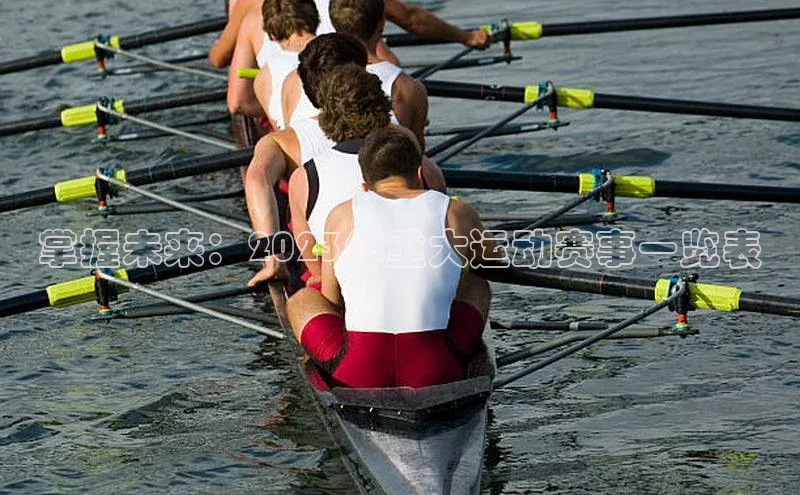 新宝gg平台注册官网