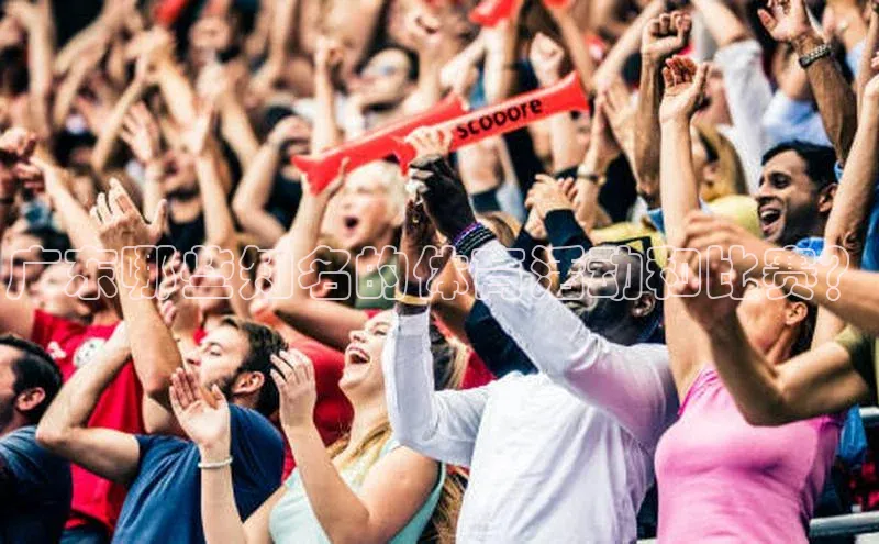 新宝gg平台注册官网