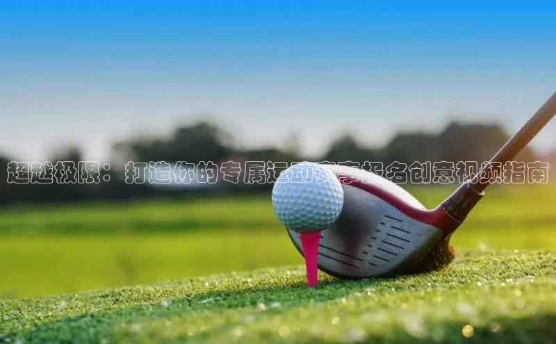 新宝网站登录入口